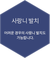 ������ ����ö�� �̹���